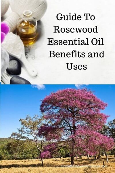 Rosewood Essential Oil Benefits, Tooth Nerve, Vitamins For Nerves, Rosewood Essential Oil, Inner Knee Pain, Nerve Pain Relief, Sciatic Nerve Pain, Knee Pain Relief, Essential Oil Benefits