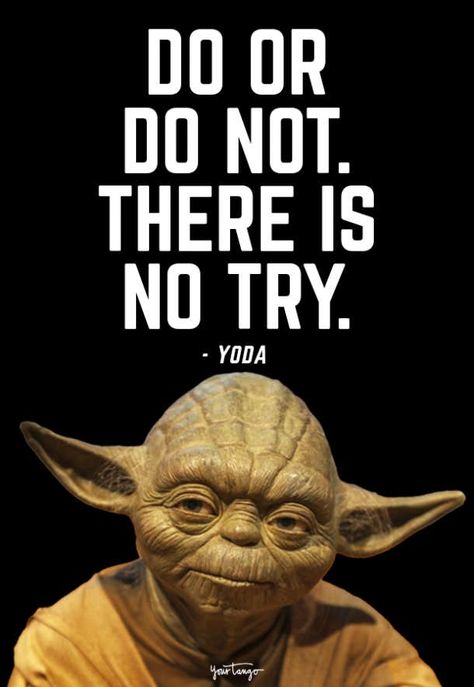 yoda quotes Yoda Quotes Wisdom, Yoda Quotes Funny, Star Wars Quotes Funny, Master Yoda Quotes, Jedi Master Yoda, Yoda Quotes, Yoda Funny, Holy Quotes, Star Wars Quotes