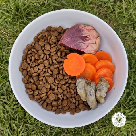 Learn how to select ideal raw ingredients to add into a processed dry dog food diet to increase moistureadd fresh proteinimprove fats Dry Dog Food Add Ins, Raw Dog Food Topper, Loki Recipe, Dog Food Add Ins, Dogs Bowls, Dog Food Toppers, Healthy Dog Food Homemade, Raw Feeding For Dogs, Pet Treats Recipes