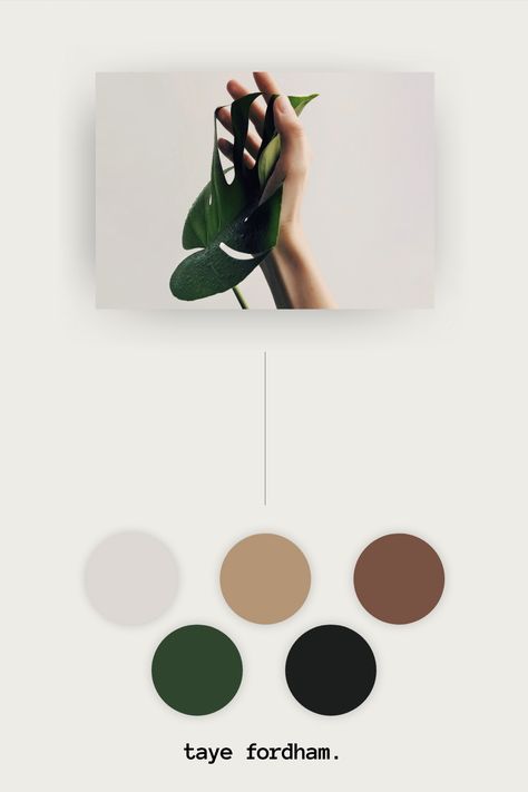 Minimal Greenery Cream, Green, and Brown Color Palette Brown Black Green Color Palette, Green Beige Black Aesthetic, Green Black White Brown Color Palette, Black Green Brown Color Palette, Black White Grey Green Brown Color Palette, Black Green Beige Aesthetic, Black Beige Green Aesthetic, Green And Black Pallet, Black White Olive Color Palette