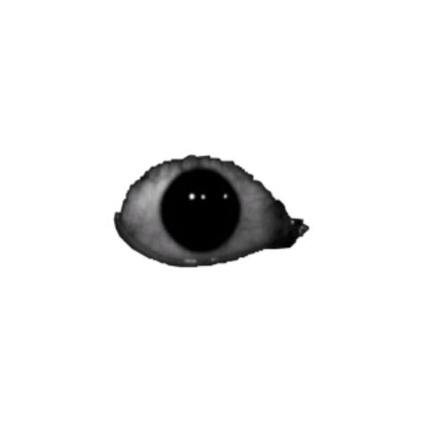Creepy Png Icons, Scary Png Aesthetic, Werid Core Eyes, Weird Core Stickers, Eyes Creepy Drawing, Weird Core Icons, Horror Png For Editing, Weird Core Eyes, Halloween Png Icons