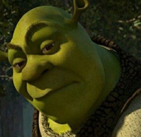 Shrek: Wassup babagorl UwU 😈 Shrek