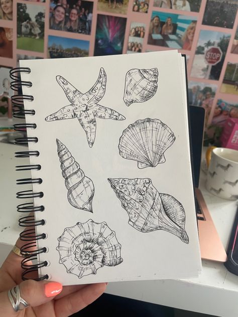 Marine Bio Drawing, Starfish Sketch Drawings, Asthetic Doodle Drawings, Shell Drawing Aesthetic, What To Draw On Your Sketchbook, Starfish Drawing Aesthetic, Drawing Of Shells, Free Sketch Drawings, Sea Shells Sketch