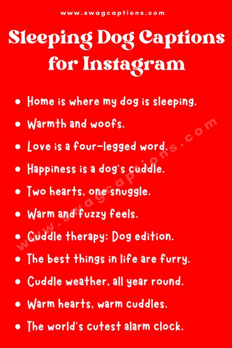 Sleeping Dog Captions for Instagram Dog Sleeping Quotes, Sleepy Dog Quotes, Sleeping Dog Quotes, Dog Caption, Dog Captions For Insta, Captions For Instagram Cute, Dog Love Quotes, Dog Captions, Captions For Pictures