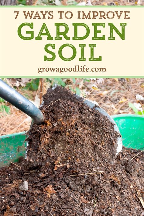 Healthy Garden Soil, Vegetable Garden Soil, Plantarea Legumelor, Planning Garden, Terrariums Diy, Planters Garden, Gardening Landscaping, Gardening Design, Landscaping Garden