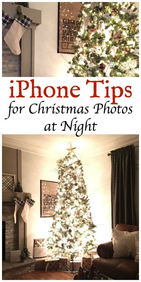 Natal, Christmas Pictures On Couch, Diy Christmas Family Photos At Home, At Home Christmas Photoshoot Family Diy, Christmas Tree Photoshoot Indoor, Christmas Tree Family Photos Indoor, Photoshoot With Iphone, 30th Photoshoot, Christmas Tree Photoshoot