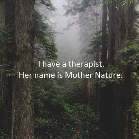 Nature, Love Nature Quotes, Self Love Qoutes, Nature Lover Quotes, Forest Quotes, Environment Quotes, Mother Nature Quotes, Adventure Kids, Earth Quotes