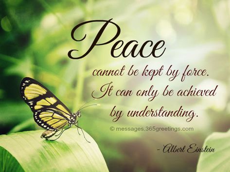 World Peace Quotes, Quotes About Peace, Quotes Holiday, Quotes Buddha, Peace Pictures, Buddha Peace, Trendy Graphics, World Peace Day, Day Of Peace