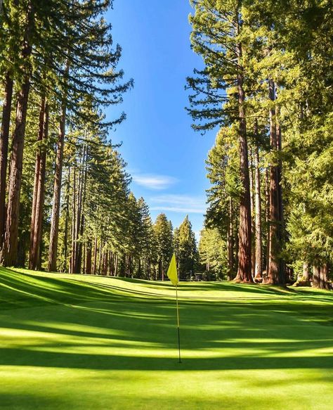 Beautiful Golf Courses on Instagram: “One of our favorite courses to get pictures of, Northwood Golf Club, located in Monte Rio, CA. The Alister MacKenzie design is considered…” Beautiful Golf Courses, Golf Course Photography, Beautiful Resorts, Augusta Golf, Famous Golf Courses, Golf Pictures, Golf Diy, Public Golf Courses, Golf 6