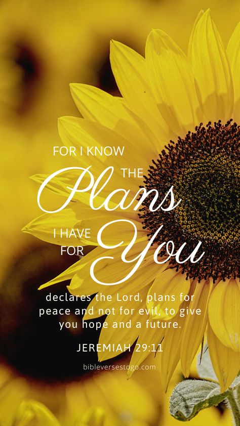 Inspirational Verses Phone Wallpaper - FREE Downloads - Bible Verses To Go Wallpaper Bible Verse, Jer 29 11, Sunflower Quotes, Wallpaper Bible, Happy Sunday Quotes, Inspirational Verses, Ayat Alkitab, Verses Wallpaper, Jeremiah 29