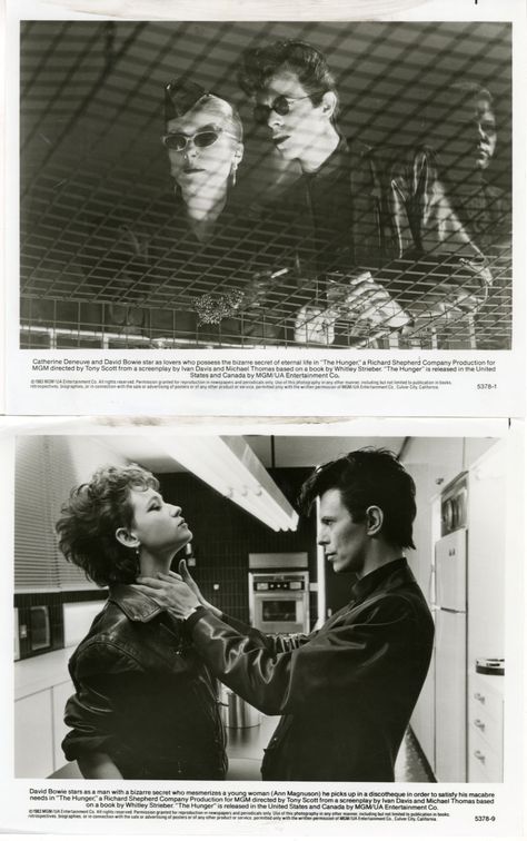 The Hunger. 1983 The Hunger Bowie, The Hunger Film 1983, The Hunger Movie 1983, The Hunger Film, The Hunger 1983, Peter Murphy, Tony Scott, Famous Monsters, Scream Queens
