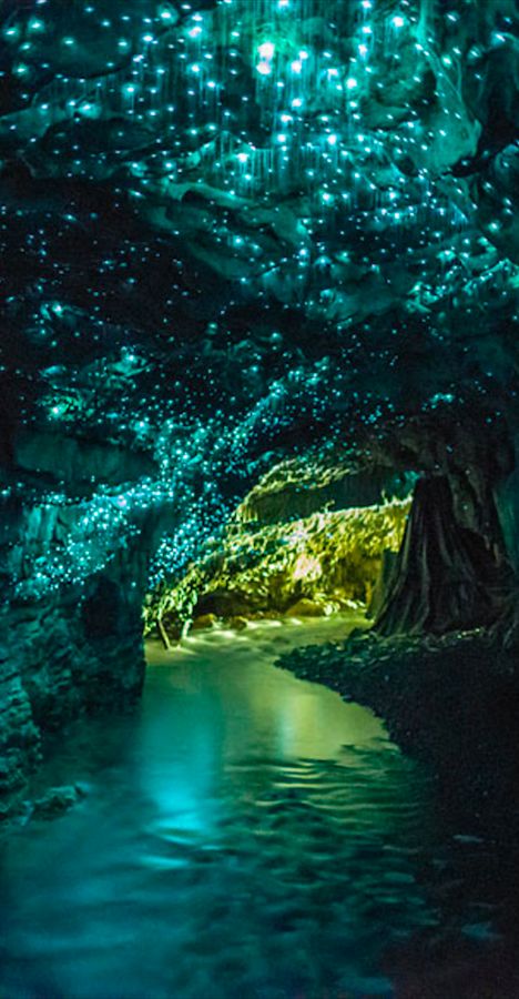 Waitomo Glowworm Caves near Otorohanga on New Zealand's North Island • photo: Kristin Pierce on Flickr Glowworm Caves, The Tourist, Alam Semula Jadi, Magical Places, Places Around The World, Natural Wonders, Tourist Attraction, Dream Vacations, Vacation Spots