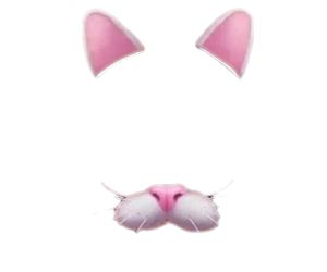 Cat Filter Png, Snapchat Filters Png, Snapchat Dog Filter, Cat Filter, Dog Filter, About Snapchat, Pink Images, Image Cat, Free Cats