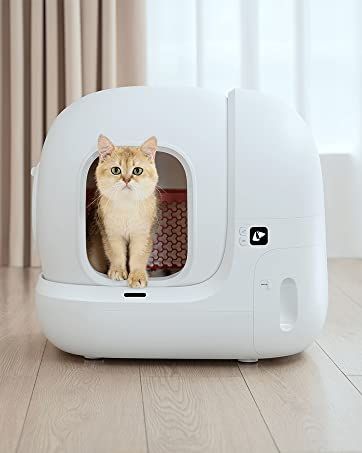 Amazon.com: PETKIT Pura X Self-Cleaning Cat Litter Box, No Scooping Automatic Cat Litter Box fr Multiple Cats, xSecure/Odor Removal/APP Control Automatic Cat Littler Box with Mat : Pet Supplies Cat Litter Box Diy, Cat Boxes, Hiding Cat Litter Box, Diy Litter Box, Automatic Cat Litter, Automatic Litter Box, Self Cleaning Litter Box, Litter Robot, Cat Litter Box Enclosure