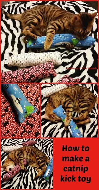 Diy Jouet Pour Chat, Chat Diy, Cats Toys, Homemade Cat Toys, Diy Pet Toys, Diy Cat Toys, Homemade Cat, Ideal Toys, Super Cat