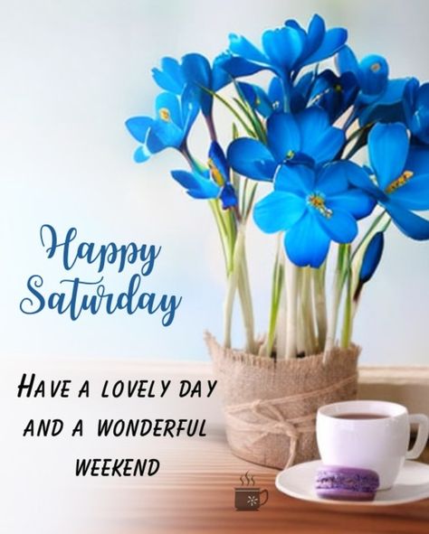 10 Happy Saturday Inspirational Quotes Full Of Happiness And Sunshine Saturday Inspirational Quotes, Saturday Morning Greetings, Happy Weekend Images, Happy Saturday Quotes, Saturday Morning Quotes, Happy Saturday Images, Happy Saturday Morning, Saturday Greetings, Weekend Greetings