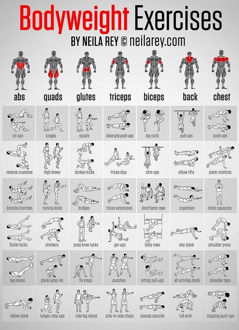 Body Weight Exercises Lichaamsgewicht Training, Trening Sztuk Walki, Weight Exercises, Tricep Dips, Bodyweight Exercises, Leg Curl, Calisthenics Workout, Muscle Building Workouts, Ab Workout At Home