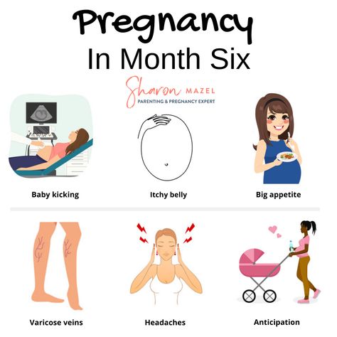 It’s the end of your second #trimester! Working our way through each month of #pregnancy in these bite-sized posts! Here are some symptoms and experiences you might be having in the sixth month of pregnancy. Get ready for your third trimester with my #free pregnancy #newsletters! Come back to follow along for pins about the rest of pregnancy. Hayat Pics, Pediatric Clinic, Women Things, Pregnancy Facts, Pregnancy Timeline, Pregnancy Art, Baby Fall, Pregnancy Info, Newborn Baby Tips