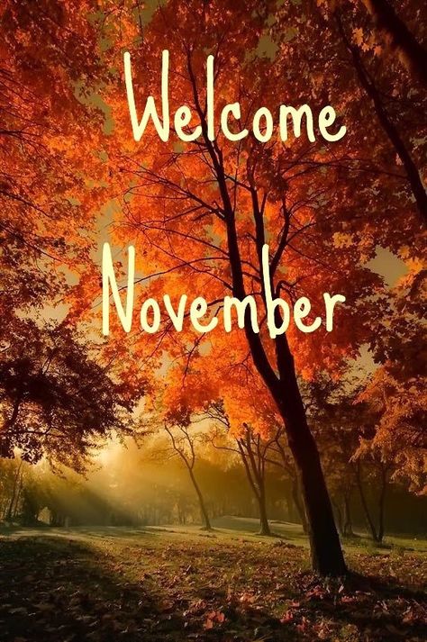 Welcome November Wallpaper, Welcome November Beautiful, November Welcome, Hallo November, November Pictures, November Images, December Images, Life In The Countryside, Welcome November