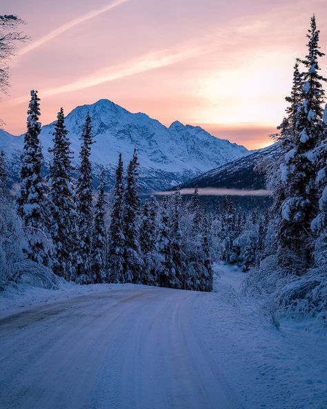 The Alaska Life on Instagram: “Our winter wonderland didn’t last long...who wants it back?! 📷: @photo_brenn ・・・ Snowwwww come baccckkkkkk #alaska #alaskan #thealaskalife…” Alaska City Aesthetic, Alaska Winter Aesthetic, Alaska Astethic, Alaska Aesthetic Winter, Anchorage Alaska Aesthetic, Alaska In Winter, Alaska Honeymoon, Alaskan Landscape, Pam Godwin