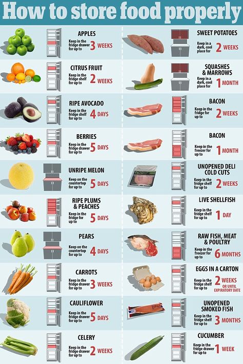 Refrigerator Storage Times, How To Keep Food Fresh Longer, How To Persevere Food, Food Storage Refrigerator, How To Preserve Vegetables In Fridge, Proper Food Storage In Fridge, Saving Food Tips, Foods And What They Are Good For, Storing Food In Fridge