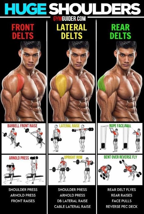 Boulder Shoulder Workout, Boulder Shoulders, Bigger Shoulders, Shoulder Workout At Home, Shoulder Gym, Deltoid Workout, Shoulder Muscle, Shoulder Workout Routine, Shoulder Workouts