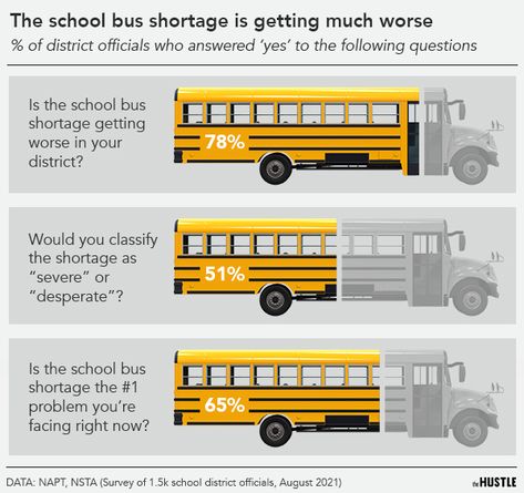 Why America has a school bus driver shortage School Bus Driver Tips, Yellow School Bus, Country School, Bus Life, School Bus Driver, Wheels On The Bus, List Of Jobs, Party Bus, Bus Driver