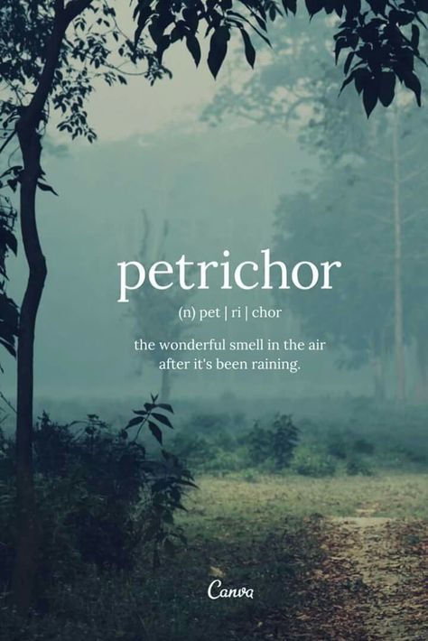 PETRICHOR : the wonderful smell in the air after it's been raining Your Smell Is My Favorite Perfume Quotes, Smell Of Soil After Rain, Smell Of Earth After Rain, The Smell After Rain, Rain Smell, The Smell Of Rain, Awesome Words, Beautiful Words In English, Its Raining