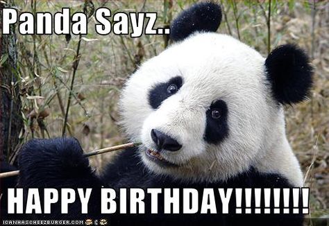 Nature, Happy Birthday Panda, Panda Meme, Hyperactive Kids, Panda Gif, Panda Images, Panda Eyes, Panda Bears, Panda Art