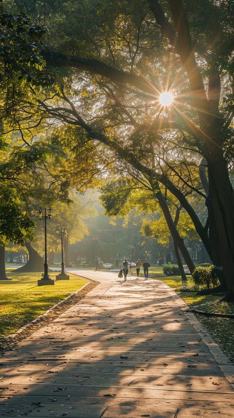 Sunlit Park Walk: A tranquil park bathed in sunlight, featuring a path lined with trees and early morning walkers. #sunlight #park #trees #morning #walking #path #nature #serene #aiart #aiphoto #stockcake https://ayr.app/l/C67L Nature, Walking Pictures Aesthetic, Walk In Nature Aesthetic, Long Walks Aesthetic, Tranquility Images, Morning Walks Aesthetic, Path Aesthetic, Waking Early, Walking In The Morning