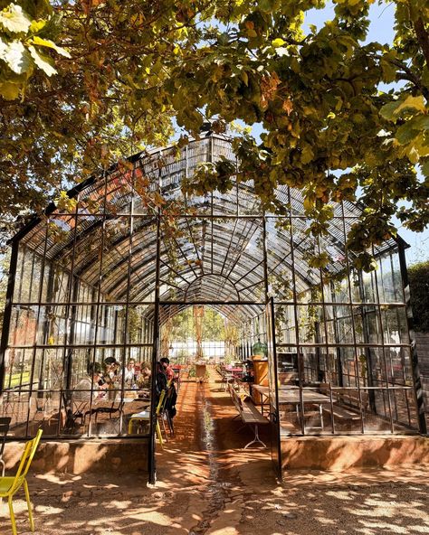 An Autumn flair 🍂 ⁠ ⁠ At the Greenhouse the season reflects on its menu, each dish carefully planned to bring out the flavours synonymous with autumn.⁠ ⁠ Wander up our garden and join us for a light meal in the Greenhouse open from 09:00-17:00. ⁠ #babylonstoren #franschhoek #capewinelands #farmlife #winecountry⁠ #greenhouse #glasshouse #greenhouselife #garden #indoorgarden #lunch #brunch #breakfastspot Mountain Greenhouse, Open Greenhouse, Greenhouse Cafe, Secret Bar, The Greenhouse, Tent Wedding, Glass House, Light Recipes, Wine Country