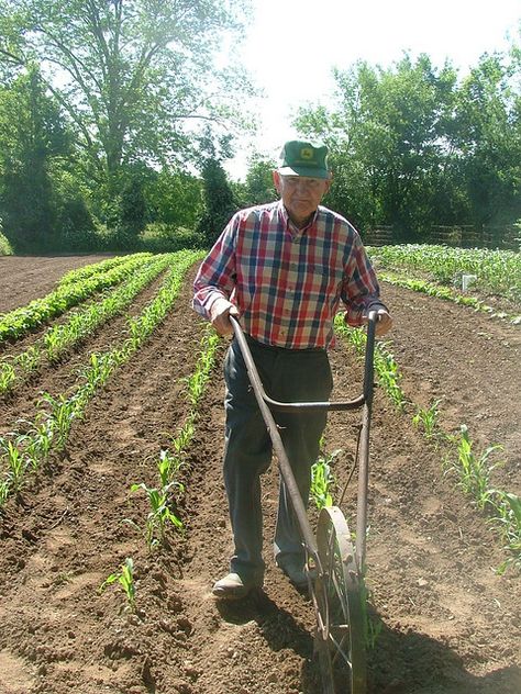 Farmer in his well-tended garden with an old hand-plow. Saline County, AR. My Dad has one of these Tumblr, Middle America, America Photo, True Gentleman, Middle Aged Man, Old Tools, Down On The Farm, Farms Living, Rural Life