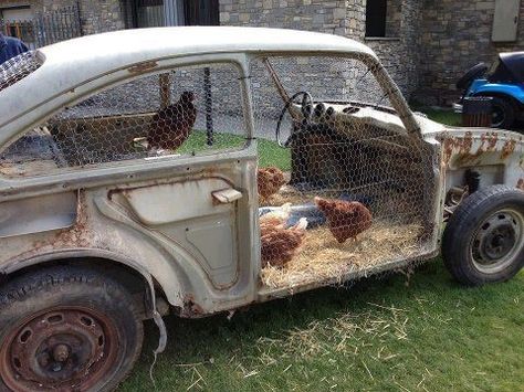 VW Bug house Reban Ayam, Kodiak Bear, Coop Design, Upcycle Garden, Chicken Coop Designs, Smart Bulb, Car Memes, Building A Chicken Coop, Funny Animal Photos