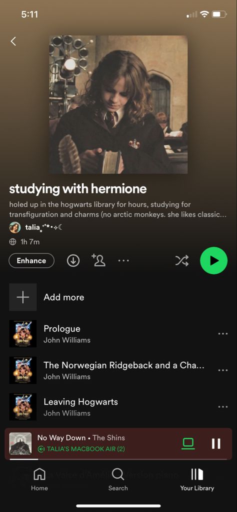 harry potter hermione granger aesthetic light academia dark academia study playlist rory gilmore autumn fall vibes hogwarts spotify playlist classical piano music