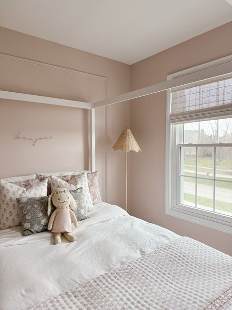 Tami O'Malley - Interior Designer St. Charles IL: Transforming Houses into Homes Sherwin Williams Abalone Shell, Pink Bedroom Ideas For Kids, Neutral Girls Room, Pink Toddler Room, Pink Toddler Bedroom, Girls Pink Bedroom, Pink Toddler Rooms, White Canopy Bed, Twin Girl Bedrooms