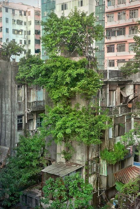 Environmental Art, Bonito, Places In Hong Kong, Environment Photography, Urban Nature, Urban Environment, A Level Art, Environment Design, Brutalism