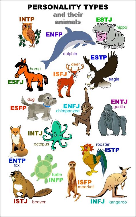 http://www.buzzfeed.com/summeranne/whats-your-animal-personality-type I'm apparently a "Meerkat." (I doubt Timon from "The Lion King" would fit this one. Seems more a "Cat" to me...) I'm a Fox! :) Mbti Animals, Infj Personalidade, Isfj Personality, Enfp Personality, Intj Personality, Infp Personality, Myers Briggs Personality Types, Myers–briggs Type Indicator, Myers Briggs Personalities