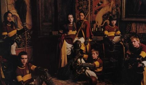 Quidditch Aesthetic, Gryffindor Quidditch Team, Quidditch Gryffindor, Harry Potter Beasts, Gryffindor Quidditch, Weasley Aesthetic, Oliver Wood, Harry Potter Quidditch, Buku Harry Potter