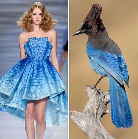 Fashion Often Draws Inspiration From Nature And This Instagram Account Proves It (30 Pics) Birds Inspired Fashion, Haute Couture, Couture, Architecture Inspiration Fashion, Fashion And Nature Inspiration, Fashion Inspired By Art, Nature Inspired Dress Illustration, Fashion In Nature, Nature Inspired Fashion Illustration