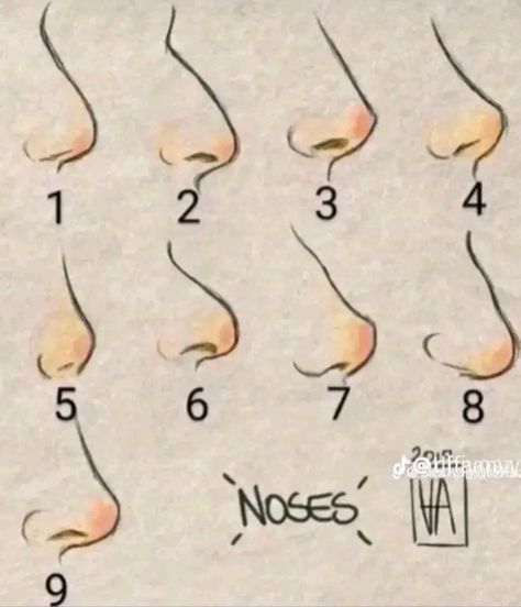 Croquis, Nose Structure, Nose Types, Nose Picking, Shape Names, Nose Surgery, Nose Contouring, Nose Drawing, Nose Shapes