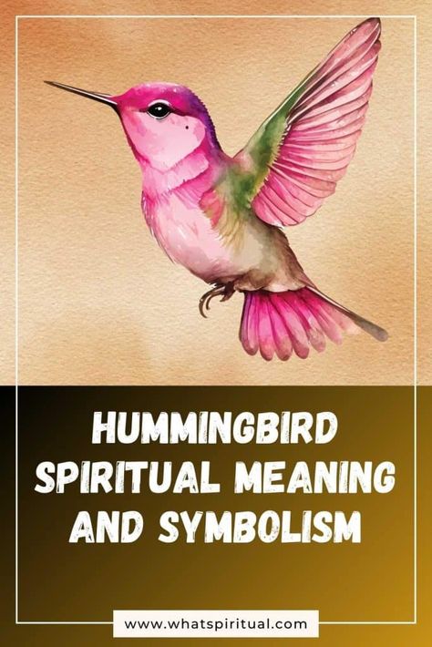 Hummingbird Spiritual Meaning and Symbolism (+Totem & Spirit) | What Spiritual Crane Spiritual Meaning, Hummingbird Meaning Spiritual, Hummingbird Spiritual Meaning, Hummingbird Totem, Hummingbird Meaning, Hummingbird Symbolism, Orange And Black Butterfly, Negative Traits, Spiritual Meaning