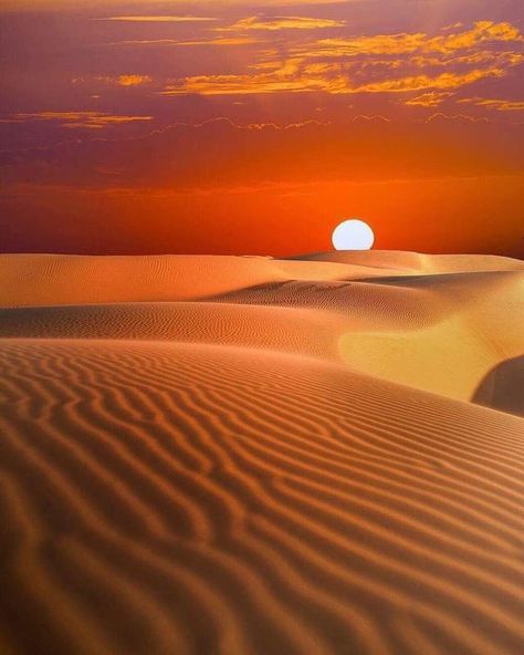 Desert Beauty, Deserts Of The World, Desert Photography, Desert Dream, Desert Life, المملكة العربية السعودية, Beautiful Sunrise, Desert Landscaping, Sand Dunes