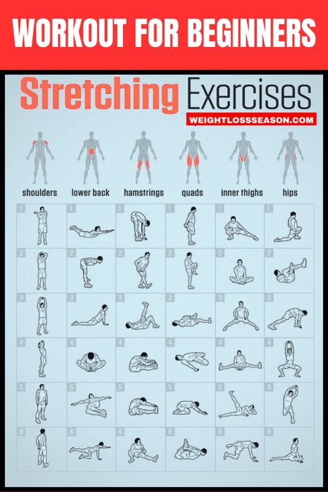 Workout For Beginners, Stretching Exercises, Lose Weight Easily, Full Body Exercises Stretches For Exercise Workout, After Work Out Stretches, Beginner Body Weight Workout, Easy Exercises For Beginners, Full Body Stretching Routine, Full Body Exercises, Beginner Full Body Workout, Full Body Stretch, Stretch Routine