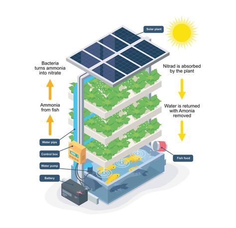 Smart Farming, Hydroponic Gardening System, Aquaponic System, Smart Farm, Farming Technology, Indoor Farming, Modern Agriculture, Aquaponics Diy, Hydroponic Farming