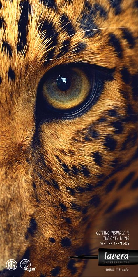 Jaguar Eyes Drawing, Animal Eyes Painting, Animal Eyes Photography, Animals Eyes, Eyes Animal, Tattoos Anime, Regard Animal, Lion Eyes, Aesthetic Animals