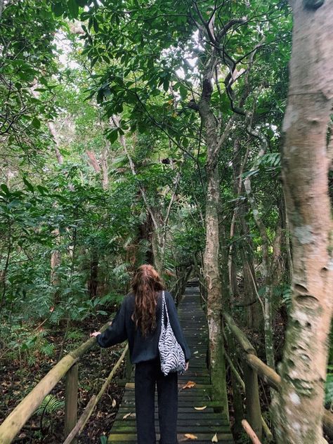 Nature, Forest Walking Aesthetic, Walking In A Forest Aesthetic, Walking In The Forest Aesthetic, Walk Aesthetic Photography, Forest Bridge Aesthetic, Walk In The Forest Aesthetic, Studying In Nature Aesthetic, Calm People Aesthetic