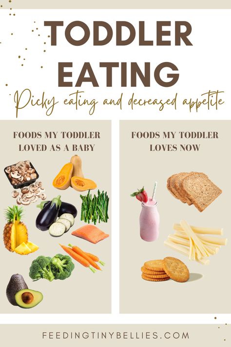 Toddler Picky Eaters Meals, Type Of Fruits, Toddler Meals Picky, Picky Eater Recipes Healthy, Toddler Wont Eat, Picky Eating Toddler, Perfect Schedule, Picky Eater Lunch, Picky Eaters Dinner