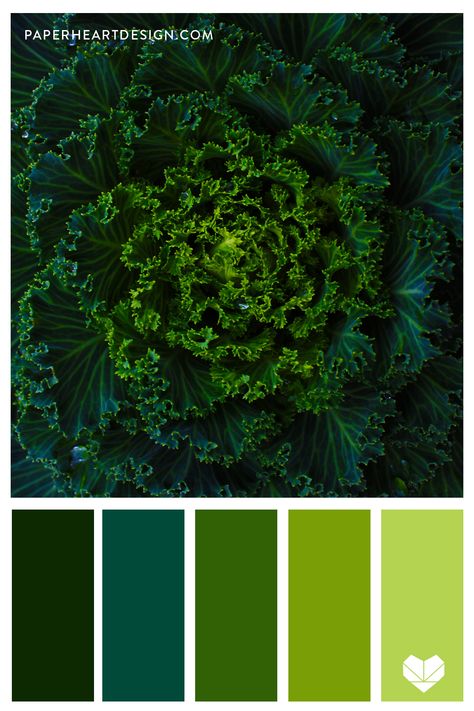 Pantone Green Shades Colour Palettes, Green Pallete Colour Palettes, Color Pallets Green, Green Color Palette Hex Codes, Green Shades Colour Palettes, Shades Of Green Palette, Palette Verde, Green Color Pallet, Green Color Pallete