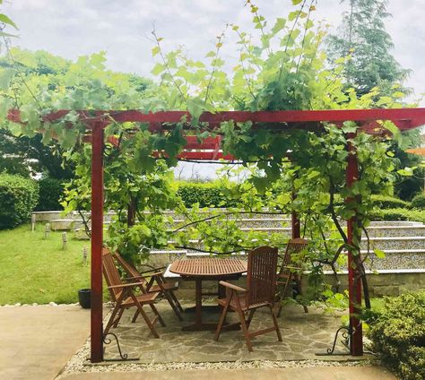 10 Garden Reading Nook Ideas for a Backyard Getaway Pergolas, Free Pergola Plans, Metal Shop Houses, Beautiful Pergola, Country Living Fair, Pergola Ideas, Outdoor Retreat, Pergola Plans, Holiday Entertaining