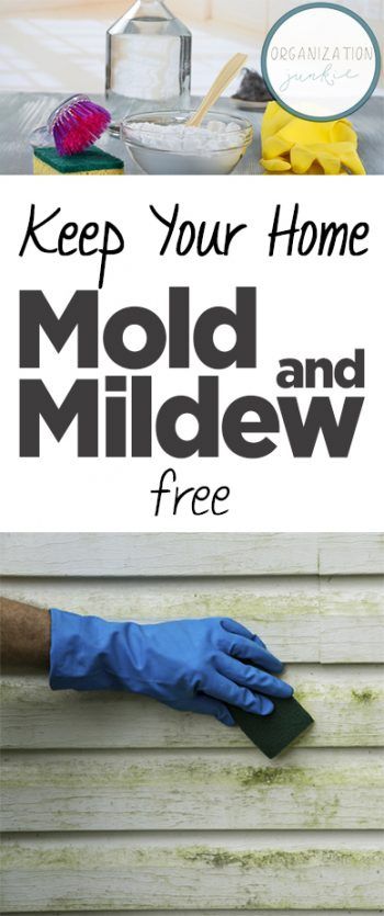 Molde, Cleaning Bathroom Mold, Bathroom Mold Remover, Bathroom Mold, Mold Prevention, Downstairs Bedroom, Mildew Remover, Black Mold, Homemade Cleaning Supplies